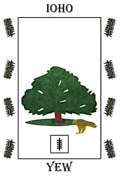Yew
